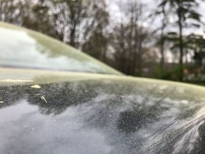 car-pollen